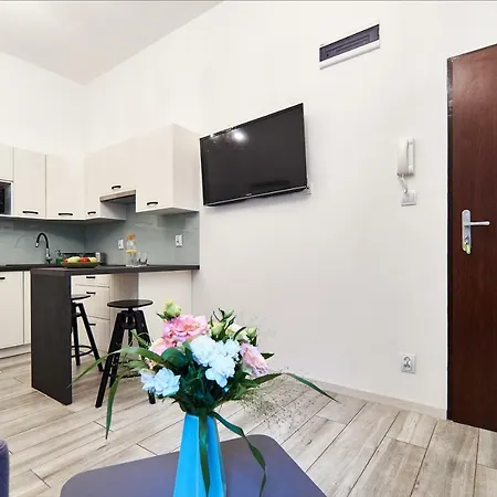 Apartment New Comfort Doubleroom - Fox - Old City Ul.zyblikiewicza *
